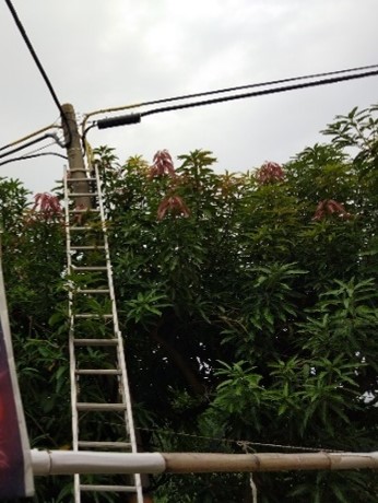 佈放網路線作業1